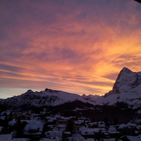 Apartament Chalet Schoenbuehl Mürren Zewnętrze zdjęcie