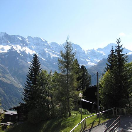 Apartament Chalet Schoenbuehl Mürren Zewnętrze zdjęcie