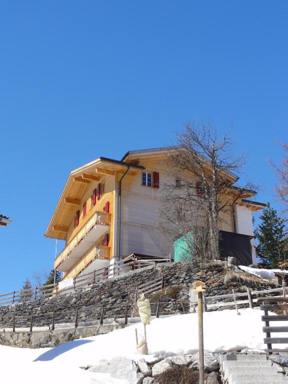 Apartament Chalet Schoenbuehl Mürren Zewnętrze zdjęcie