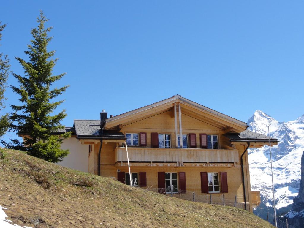 Apartament Chalet Schoenbuehl Mürren Zewnętrze zdjęcie