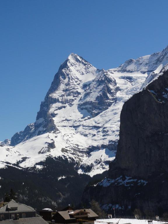 Apartament Chalet Schoenbuehl Mürren Zewnętrze zdjęcie