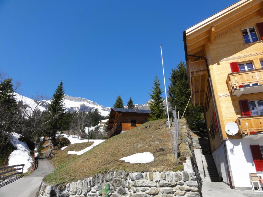 Apartament Chalet Schoenbuehl Mürren Zewnętrze zdjęcie