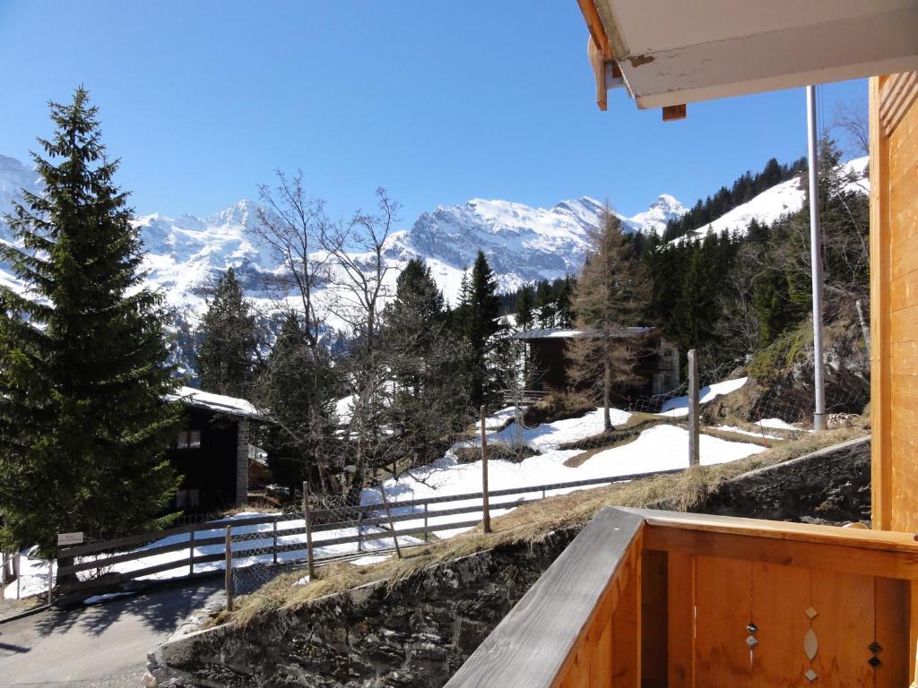 Apartament Chalet Schoenbuehl Mürren Zewnętrze zdjęcie