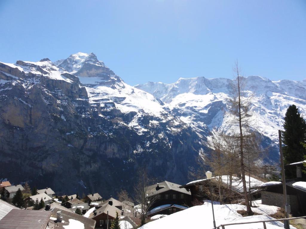 Apartament Chalet Schoenbuehl Mürren Zewnętrze zdjęcie